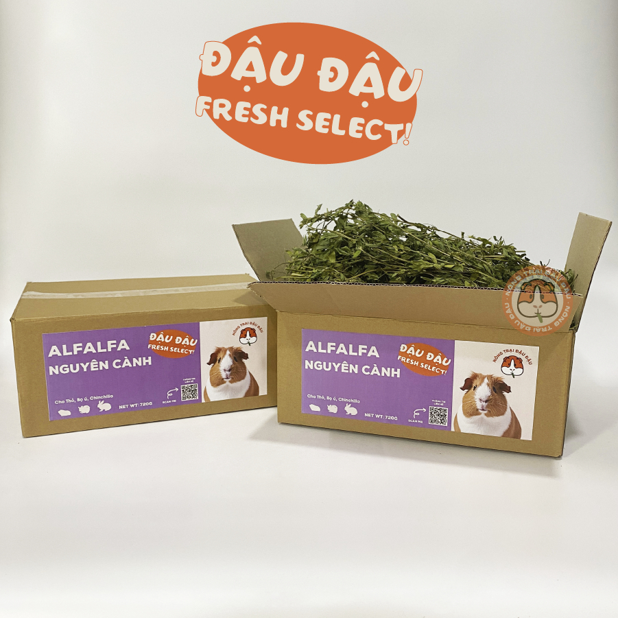 Cỏ Alfalfa Nguyên Cành Cho Thỏ, Bọ Ú, Chinchilla Lá To Nhiều Lá 720g