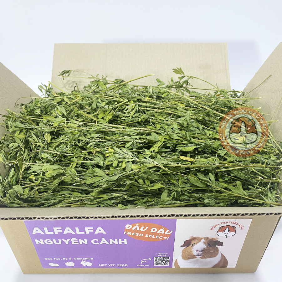 Cỏ Alfalfa Nguyên Cành Cho Thỏ, Bọ Ú, Chinchilla Lá To Nhiều Lá 720g