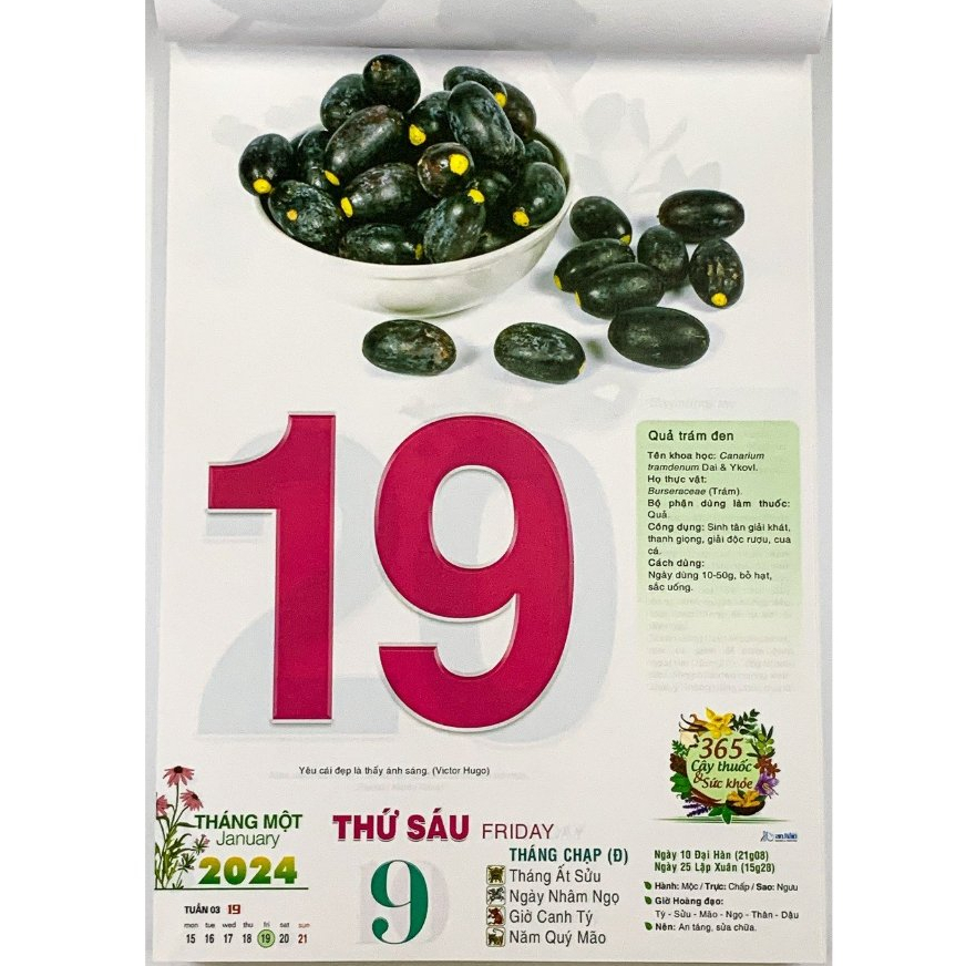 QUYỂN LỊCH 2024 LỊCH TẾT 2024 BLOC CỰC ĐẠI khổ 20x30cm - CÂY THUỐC VÀ SỨC KHỎE
