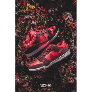 Giày thể thao sb dunk cherry| best quality kèm qùa tặng