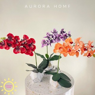 Chậu hoa Lan hồ điệp cao su 3D cao cấp - Hoa cắm phối nghệ thuật | Aurorahome.vn
