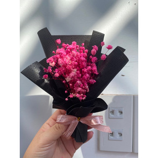Hoa babi mini xinh xắn