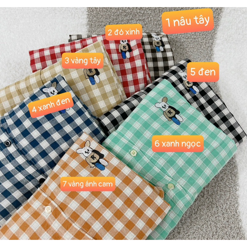 Áo Sơ Mi Nữ Kẻ Ô Hot Thêu Gấu Xinh Xắn Phong Cách Hàn Quốc