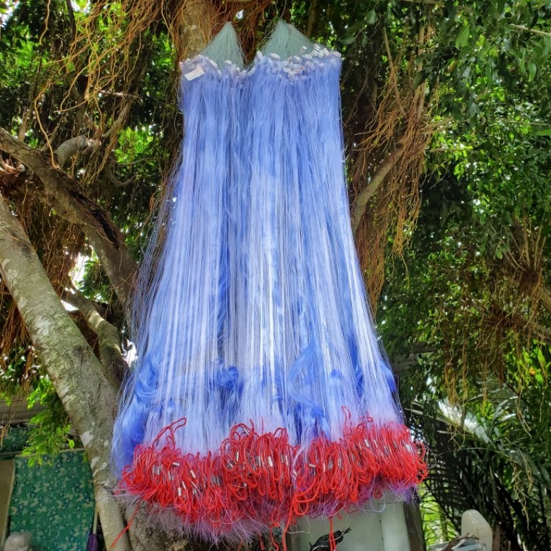 , Dài 75m, Viền đỏ chì nặng chuyên đánh sông, suối, hồ, cỡ cá gần 1kg đổ lại.