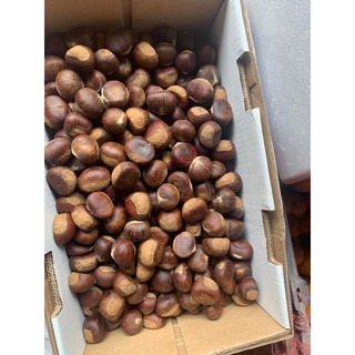 Hạt dẻ Trùng Khánh 1kg