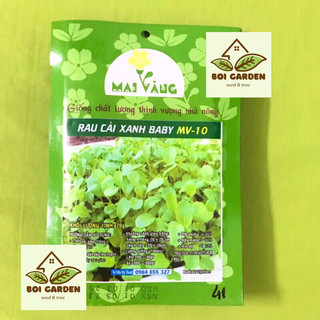 Hạt giống cải BẸ XANH ĂN NON (142)