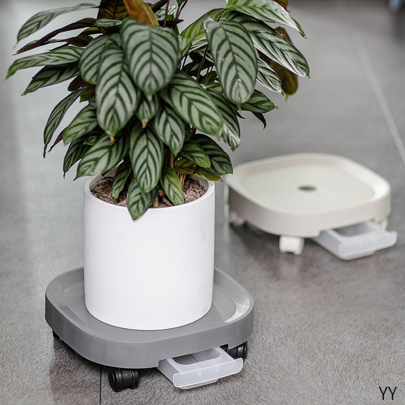 Đế kê chậu cây, đế lót chậu hoa, cây cảnh có bánh xe di chuyển đa năng, khay hứng nước tiện lợi