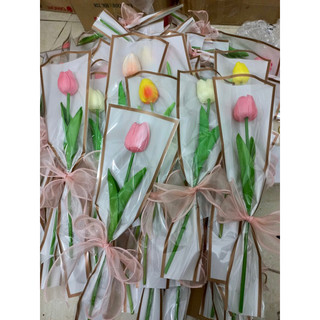Sỉ 100 bó 1 bông tulip