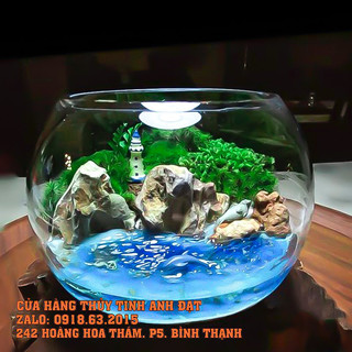 BÌNH THỦY TINH NUÔI CÁ ĐỂ BÀN,CHẬU CÁ THỦY TINH MINI,BÌNH THỦY TINH TRỒNG CÂY THỦY SINH