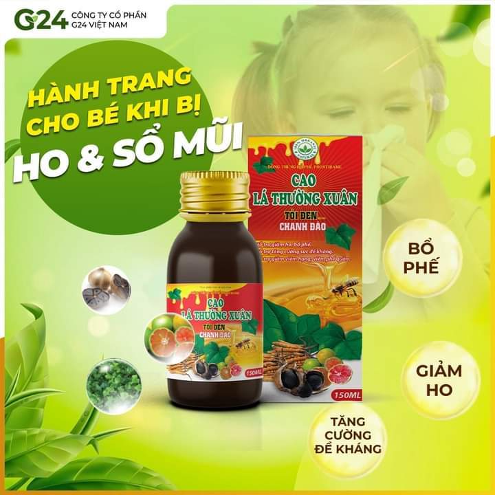 Cao lá thường xuân tỏi đen chanh đào