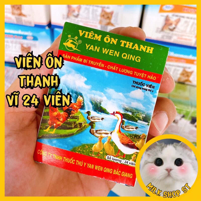Viên Ôn Thanh vĩ 24 viên khò khè, tiêu chảy ở gà đá, chim cảnh