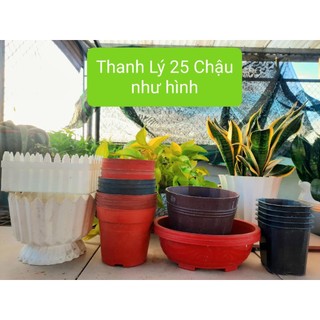 Thanh lý chậu nhựa đã qua sử dụng và chưa sử dụng trồng cây sen đá, xương rồng