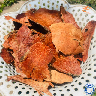 Thổ phục linh, củ khúc khắc đỏ khô khai thác rừng phơi khô từ thổ phục linh, khúc khắc đỏ tươi