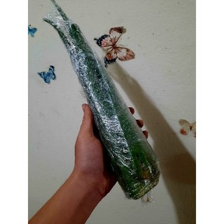 Lá nha đam tươi - 01kg