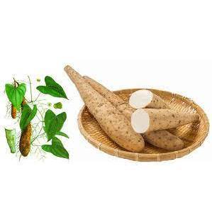 1Kg Hoài sơn (củ mài khô) Thái Lan