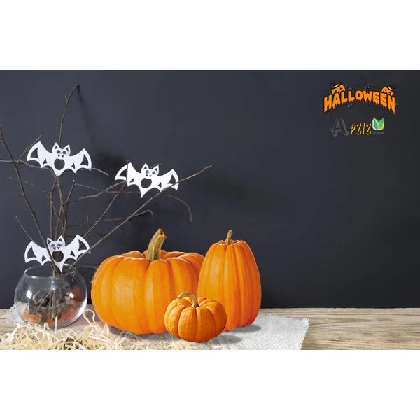 Bí Ngô Halloween Combo 3 trái bí ngô lớn  sử dụng lâu dài trang trí nhà, quán, sự kiện