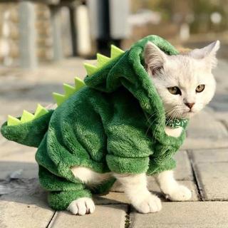 Áo cho chó mèo thu đông giữ ấm tốt đáng yêu đa dạng mẫu mã