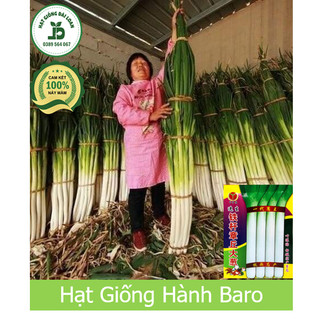 Hạt giống hành lá khổng lồ, hành baro-Nhập khẩu nguyên bao bì gói 20 gram