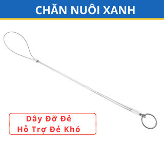 Dây đỡ đẻ cho heo nái, dây kéo đẻ khó lợn nái
