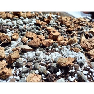 Khoaha - 500g đá perlite - vỏ đậu - trấu.