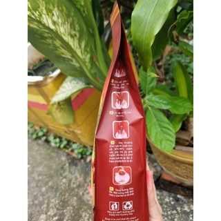 Cà phê bột pha phin - Chồn café No.2 - Đắng đậm, thơm, béo, chuyên pha cà phê đen (500g)