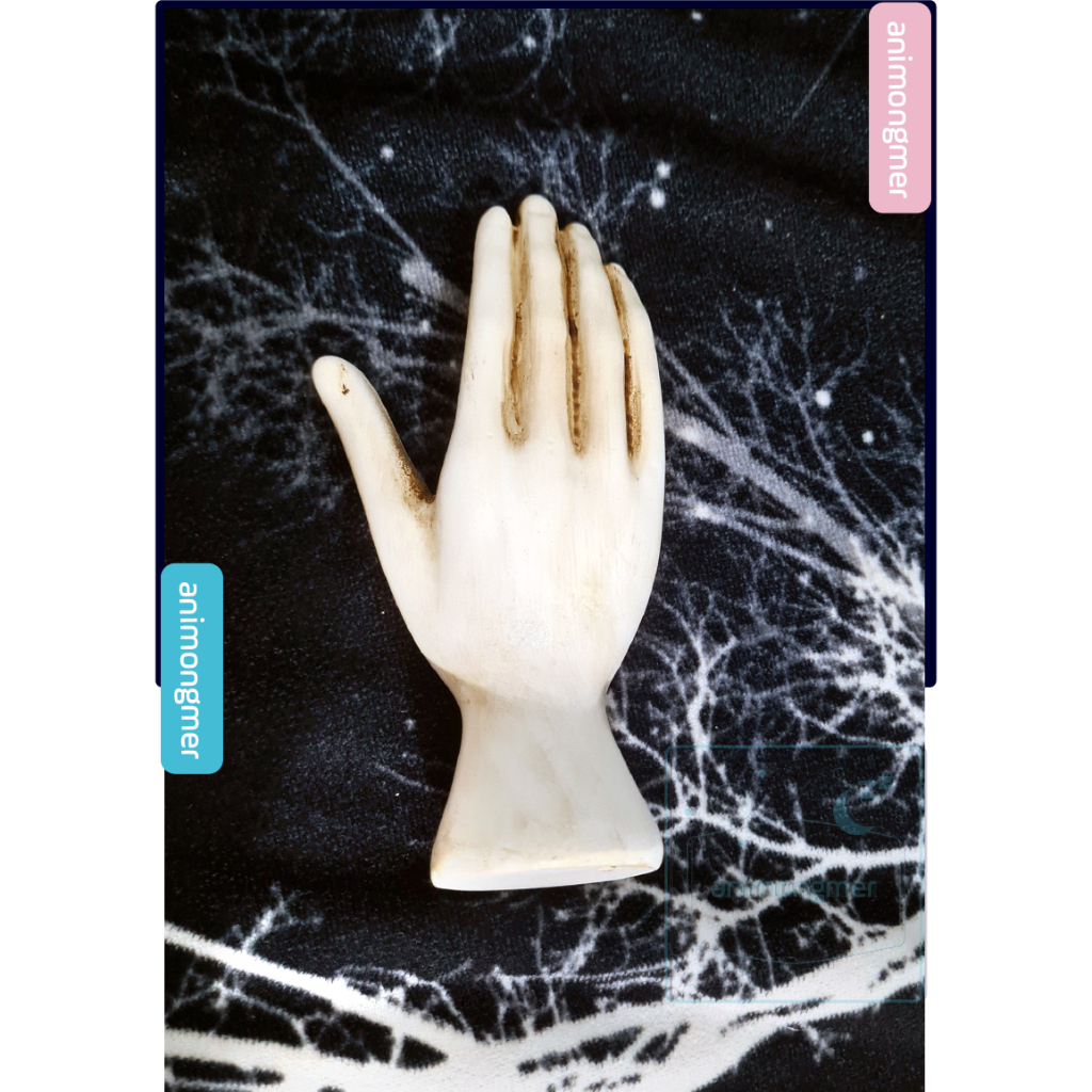 Phụ kiện hand kit palmistry