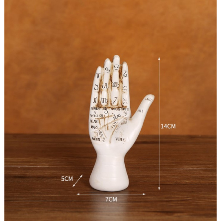 Phụ kiện hand kit palmistry