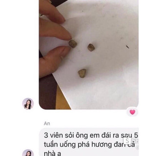 [Chính Hãng] Phá Hương Đan-Chủ Về Thận