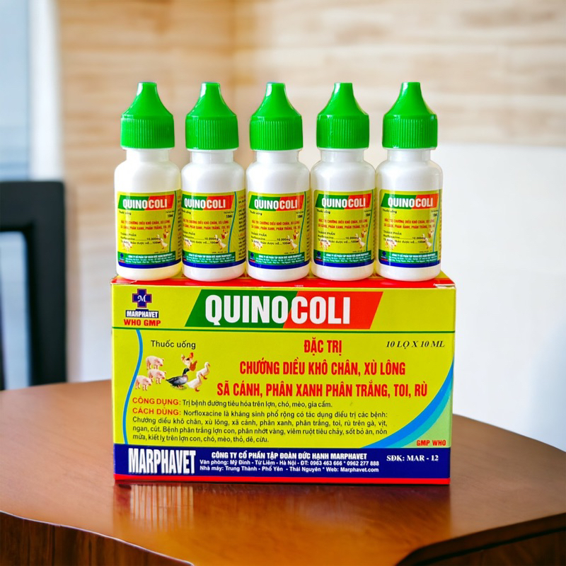 QUINOCOLI 10ML x 20 LỌ DỨT ĐIỂM CHƯỚNG DIỀU, KHÔ CHÂN, TIÊU CHẢY GÀ, VỊT, NGAN, CÚT, CHIM CẢNH