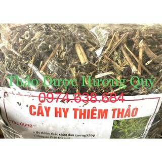 Cây hy thiêm khô 1 kg - thảo dược hương quý