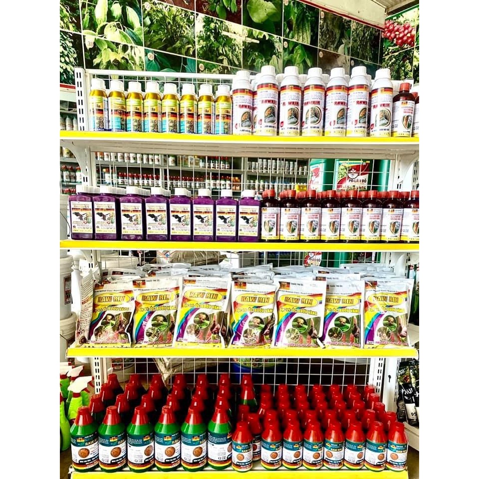 𝐏𝐇𝐀̂𝐍 𝐁𝐎́𝐍 𝐂𝐀𝐍𝐗𝐈 - 𝐊𝐀𝐋𝐈