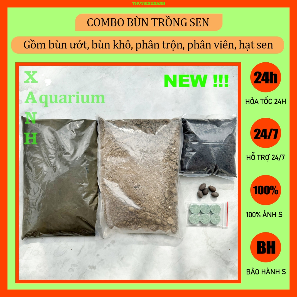 Combo đất bùn trồng sen cảnh [XA03]