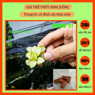 Gía thể gốm thủy sinh gắn nana, bucep