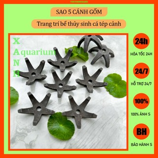 Trang trí bể cá tép cảnh