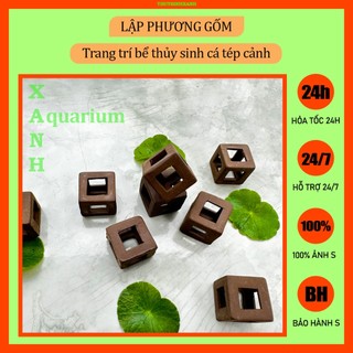 Trang trí bể cá tép cảnh