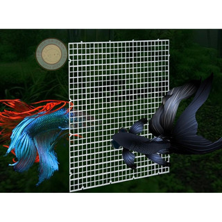 Tấm vách ngăn bể cá - tấm đậy mặt hồ cá 15x30 30x30 cm có thể ghép nối
