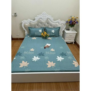 Ga cotton chần bông 1m6, 1m8