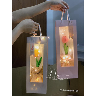 Set hoa tuylip kèm đèn, túi thiệp