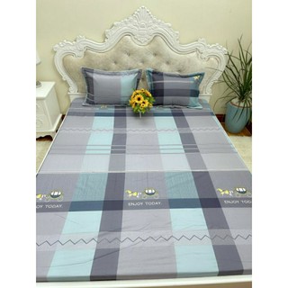 [SALES] GA [DRAP] COTTON CHẦN BÔNG 1M6, 1M8