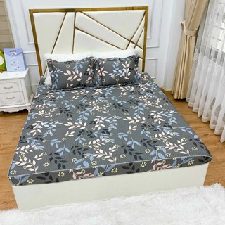 [SALES] GA [DRAP] COTTON CHẦN BÔNG 1M6, 1M8