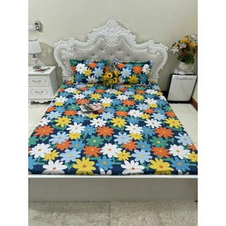 [SALES] GA [DRAP] COTTON CHẦN BÔNG 1M6, 1M8