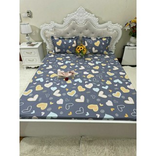 [SALES] GA [DRAP] COTTON CHẦN BÔNG 1M6, 1M8
