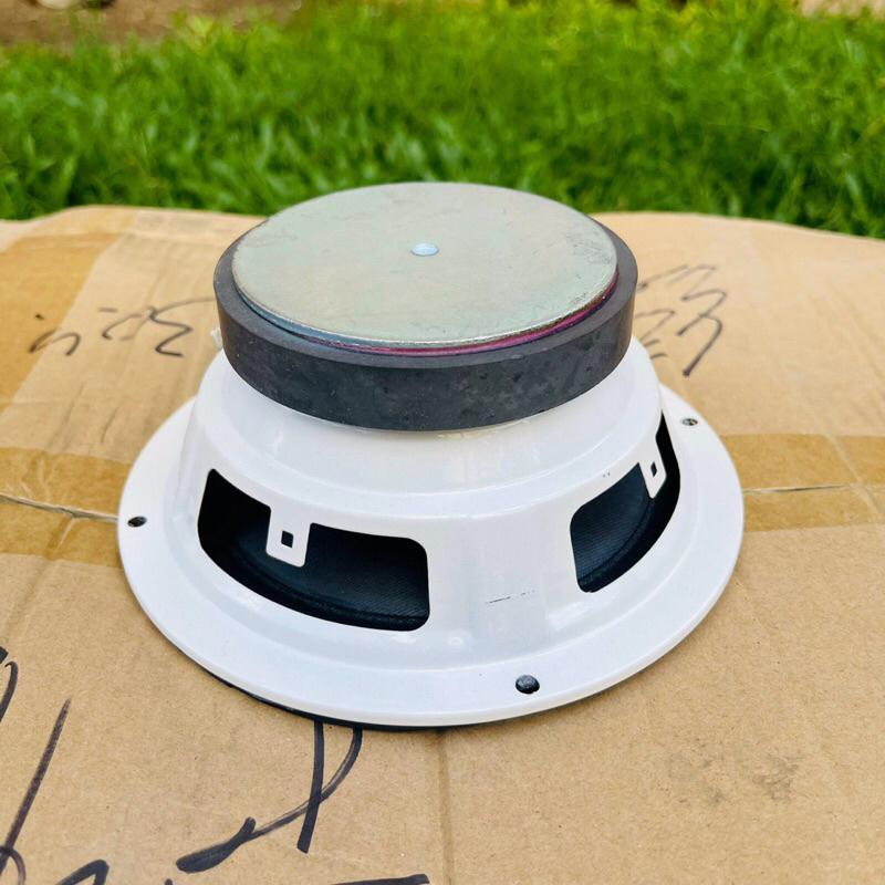 LOA TRUNG THÁI 16 COIL 25 TỪ 100 TẶNG KÈM TỤ - 432VIETNAM