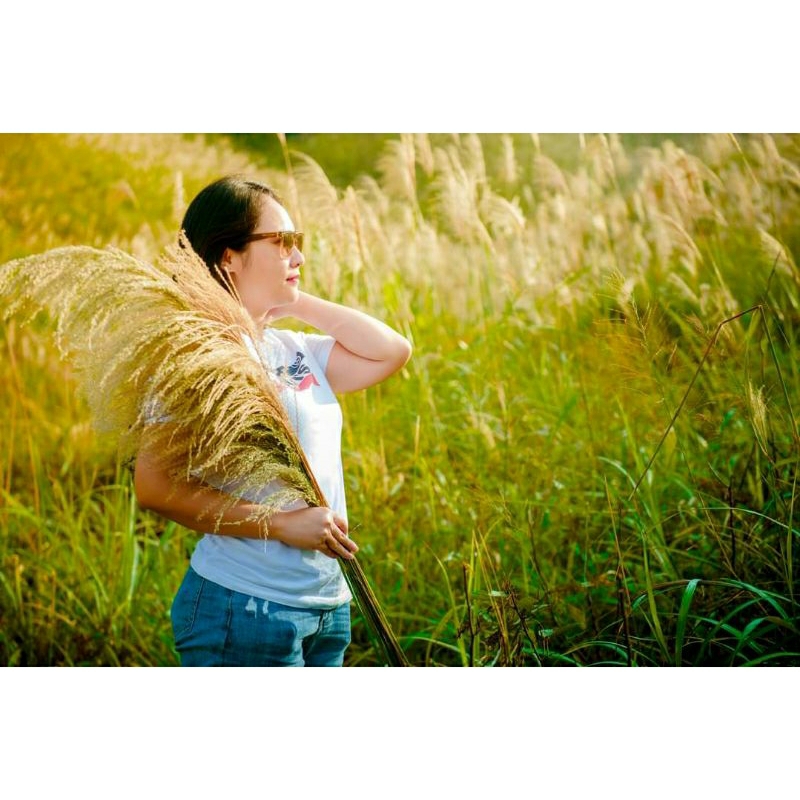 Áo bà ba simply cho bé