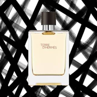 Nước hoa terre d’hermes edp 10ml