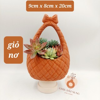 Chậu đất nung, chậu sen đá -Giỏ nơ 9820, miệng chậu (ngang 9cm, dọc 8cm), chiều cao 20cm