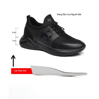Giày tăng chiều cao nam 7cm   TT223