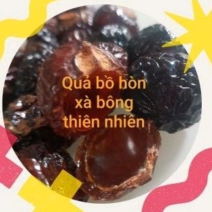 1 KG BỒ HÒN CHÍN GIÀ NHIỀU NHỰA ĐÃ TÁCH HẠT, Phôi xà bông bồ hòn, làm xà bông rủa chén, tẩy rửa
