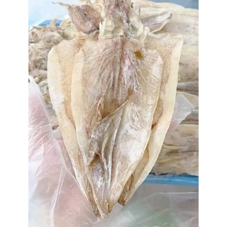 [ MUA 10 TẶNG 1] 1 Con Mực Khô Câu Sầm Sơn Size 30-35 con