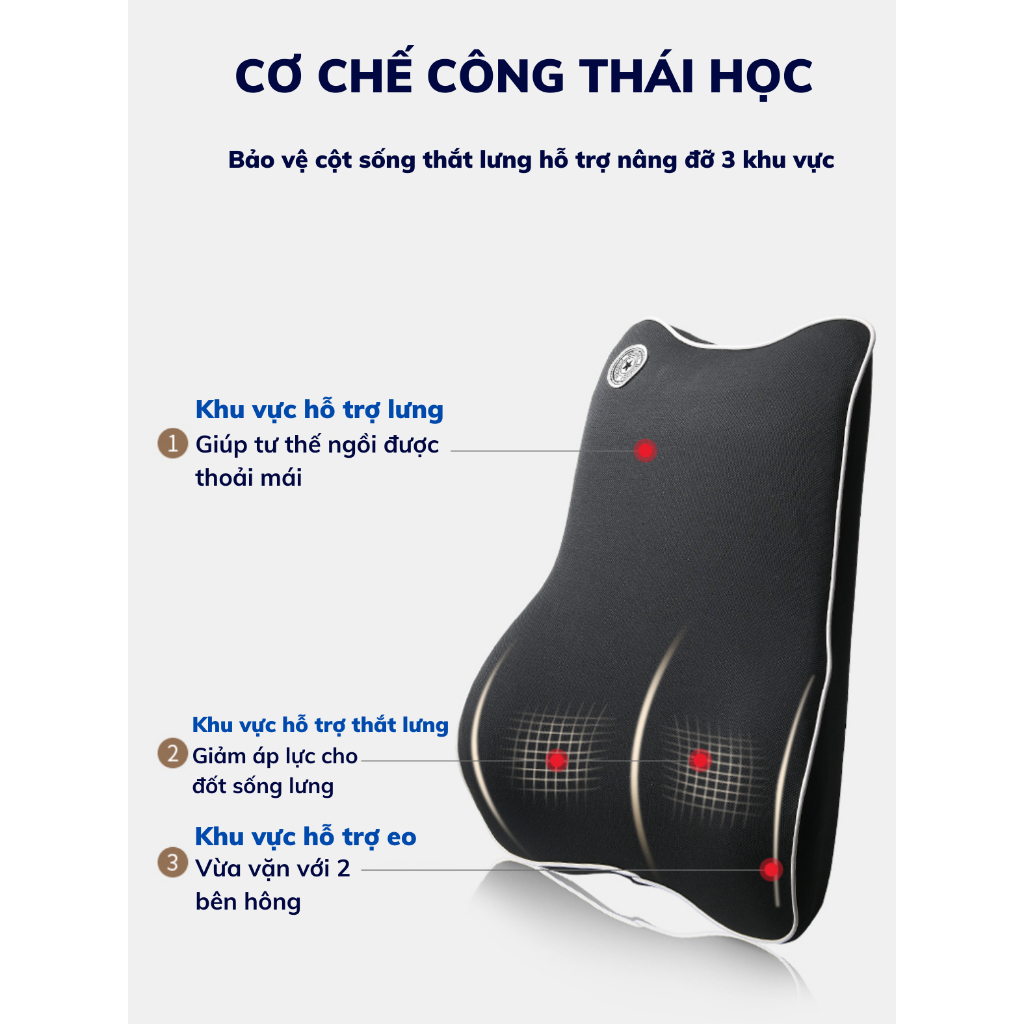 Gối tựa lưng cao su non CECILA , Dùng cho dân văn phòng và lái xe thiết kế công thái học chống đau mỏi lưng | BigBuy360 - bigbuy360.vn